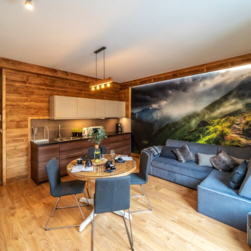 Deluxe 2-Room Apartment for 4 Persons