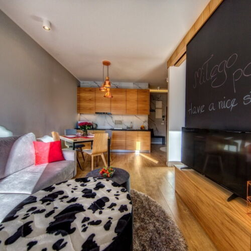 Deluxe 2-Room Apartment for 4 Persons