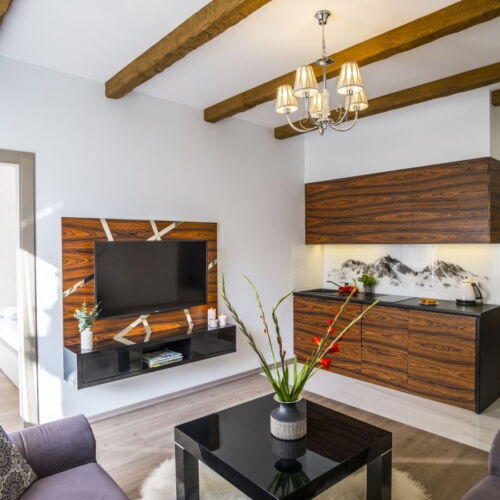 Deluxe 2-Room Apartment for 4 Persons