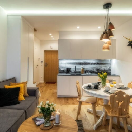 Deluxe 2-Room Apartment for 4 Persons