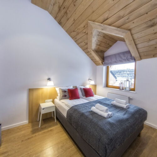 Deluxe 2-Room Apartment for 4 Persons