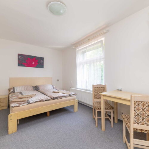 Pokoj se sprchou  s manželskou postelí