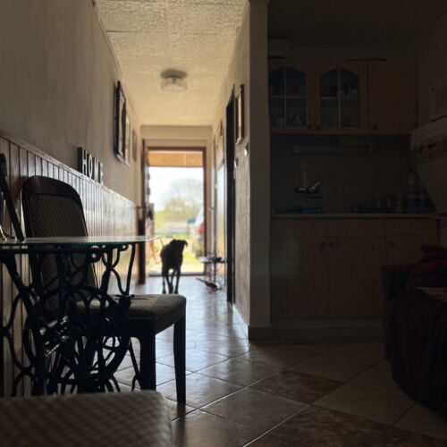 Casa de weekend familial(a) gallery pentru 6 pers. (se inchirieaza doar integral) (se poate solicita pat suplimentar)