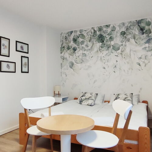 Camera dubla cu balcon cu vedere spre munte