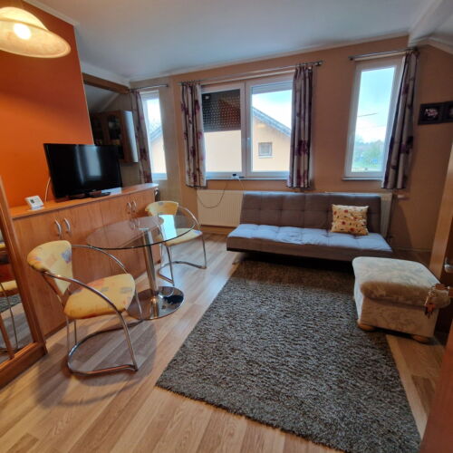 Apartament 2-osobowy połączone z aneksem kuchennym z 1 pomieszczeniem sypialnianym