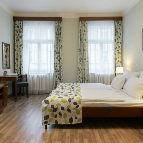 Superior Twin 1-Room Apartment for 2 Persons