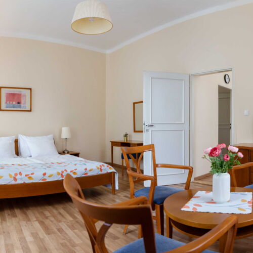 Superior 1-Room Apartment for 2 Persons