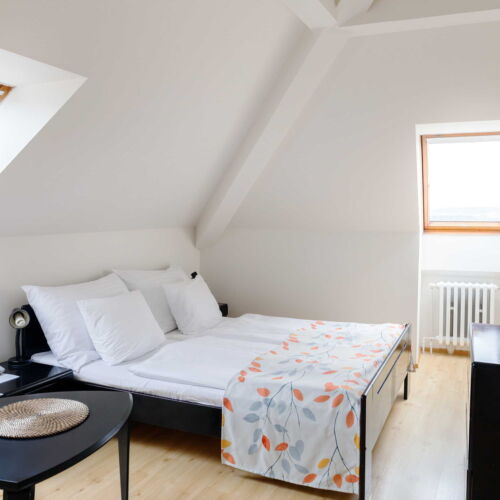 Mansard Romantic 1-Room Apartment for 2 Persons