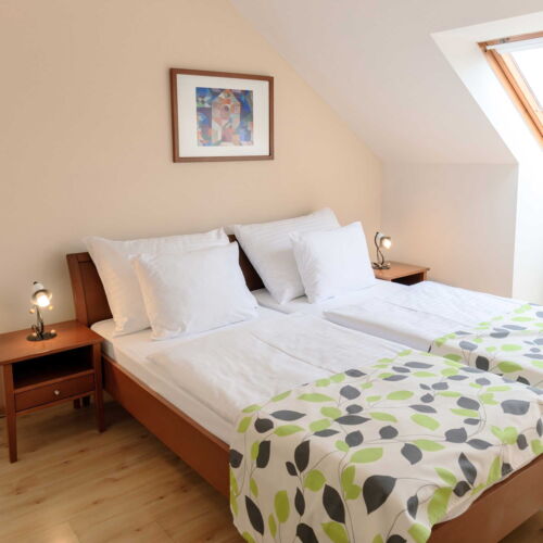 Superior 1-Room Apartment for 2 Persons with Own Kitchen