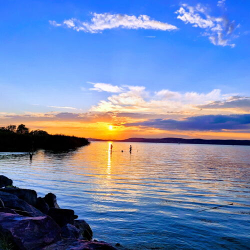 Appartement Parterre mit Terasse