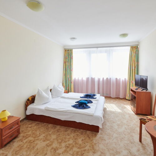 Camera dubla studio la etaj