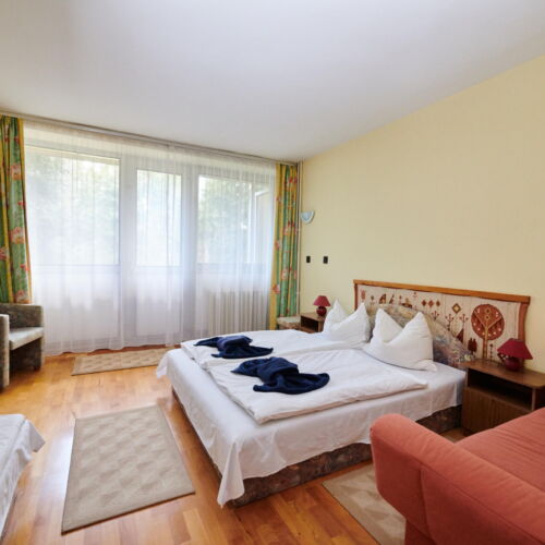 Camera tripla cu balcon cu vedere spre grădină