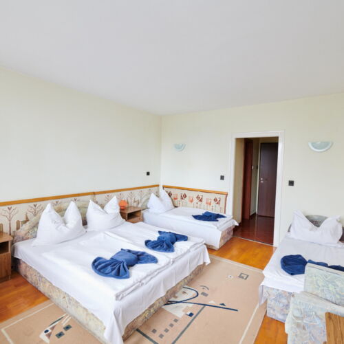 Camera cvadrupla familial(ă) cu vedere spre grădină