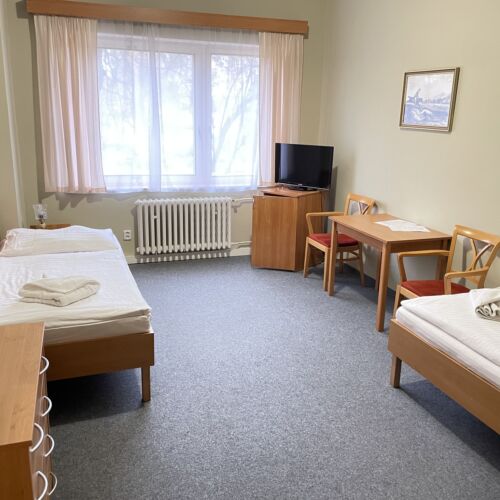 Economy  Pokoj pro 2 os. (s možností přistýlky)