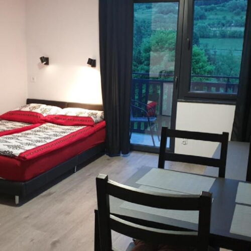 Apartament 4-osobowy Przyjazny podróżom rodzinnym z 1 pomieszczeniem sypialnianym