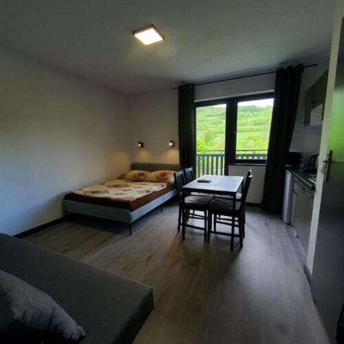 Apartament 4-osobowy Przyjazny podróżom rodzinnym z 1 pomieszczeniem sypialnianym