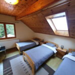Forest View Family Chalet for 12 Persons