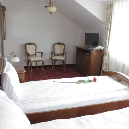 Twin 1-Zimmer-Suite für 2 Personen