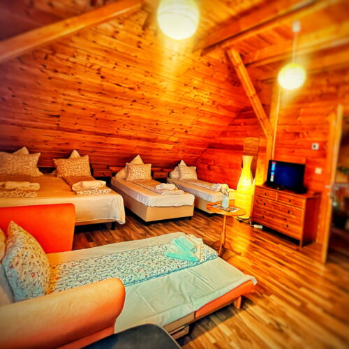 Grand Family Suita s manželskou postelí s 1 ložnicí