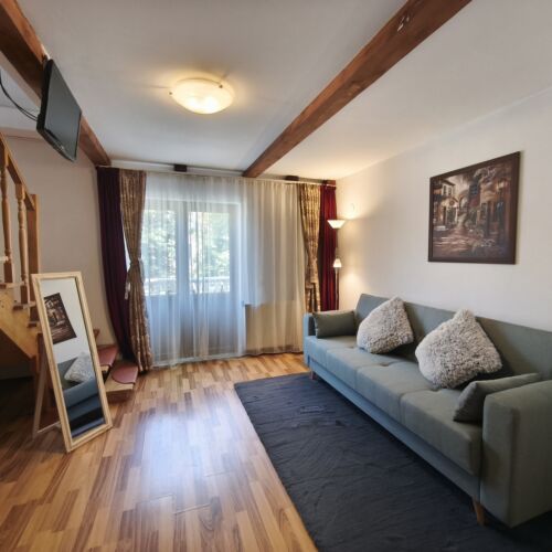Junior 1-Zimmer-Suite für 3 Personen mit Terasse