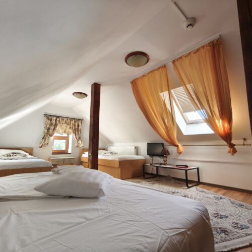 Family 2-Zimmer-Suite für 3 Personen