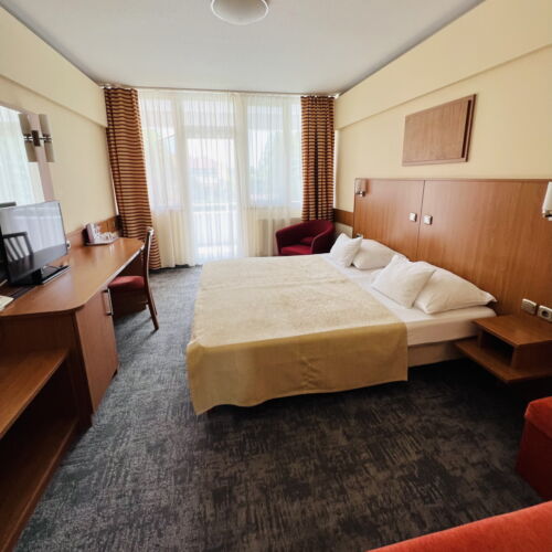 Standard Doppelzimmer mit Balkon (Zusatzbett möglich)