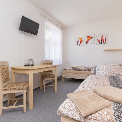 Pokoj se sprchou  pro 2 os.