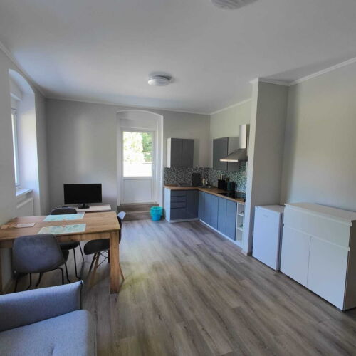 Apartament 2-osobowy z prysznicem z własną kuchnią (możliwa dostawka)