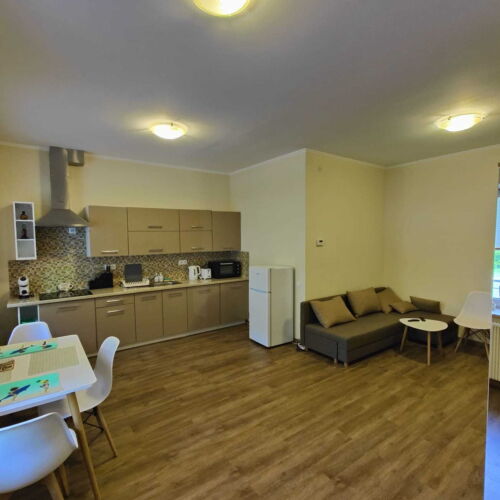Apartament 4-osobowy z prysznicem z własną kuchnią (możliwa dostawka)