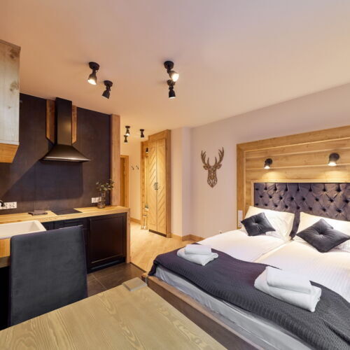 Studio Suite (No Spa Access) 1-Room Apartment for 2 Persons