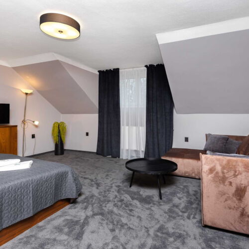 Camera twin cu duș (se poate solicita pat suplimentar)