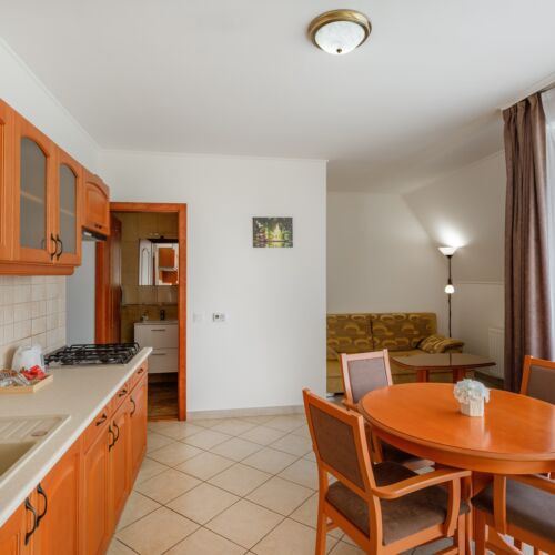 Apartament la etaj maisonetă cu 1 camera pentru 2 pers. (se poate solicita pat suplimentar)