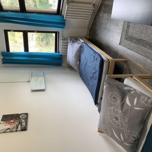 Camera twin economy fără grup sanitar