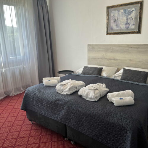 Apartament deluxe cu duș pentru 2 pers.