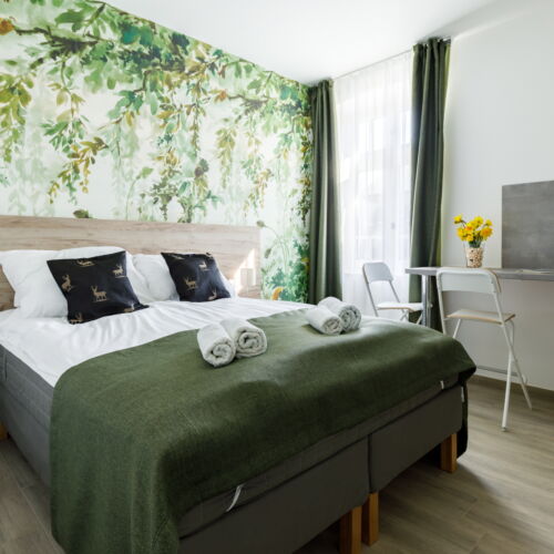 Studio Apartman s manželskou postelí s 1 ložnicí přízemní