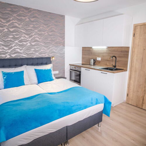 Apartament 2-osobowy z prysznicem z aneksem kuchennym z 1 pomieszczeniem sypialnianym