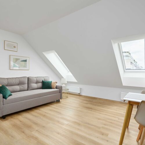 Superior Apartman se sprchou s manželskou postelí s 1 ložnicí (s možností přistýlky)