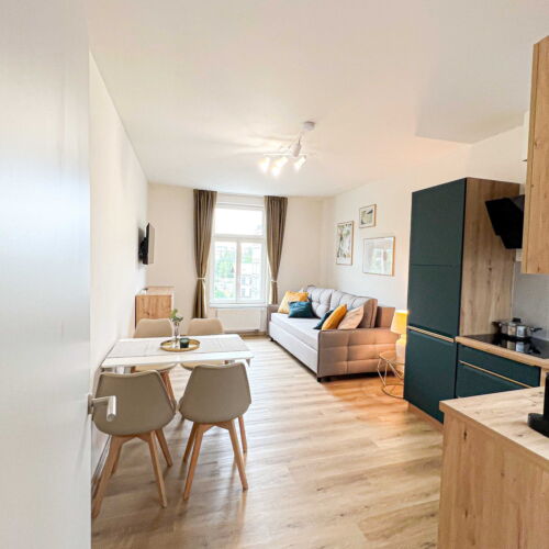 Deluxe Apartman se sprchou s manželskou postelí s 1 ložnicí (s možností přistýlky)