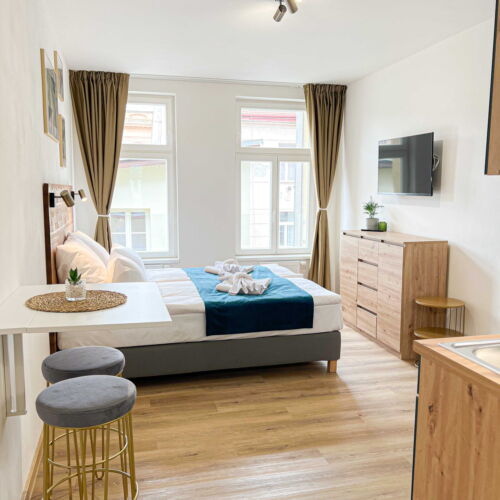 Studio Apartman se sprchou s manželskou postelí s 1 ložnicí