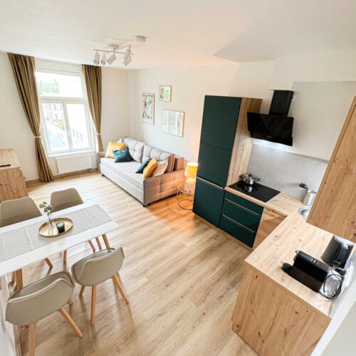 Standard Apartman se sprchou s manželskou postelí s 1 ložnicí (s možností přistýlky)