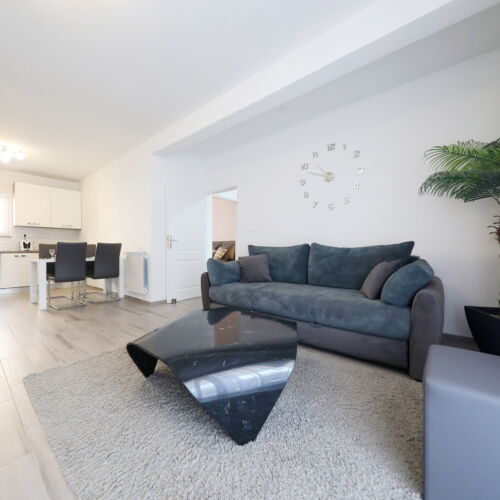 Apartament deluxe la parter cu 2 camere pentru 4 pers.