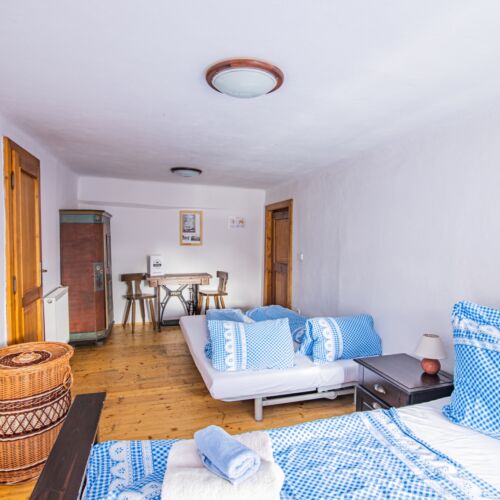 Camera cvadrupla cu duș cu vedere spre curte