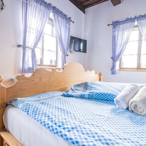 Camera dubla cu duș cu vedere spre grădină