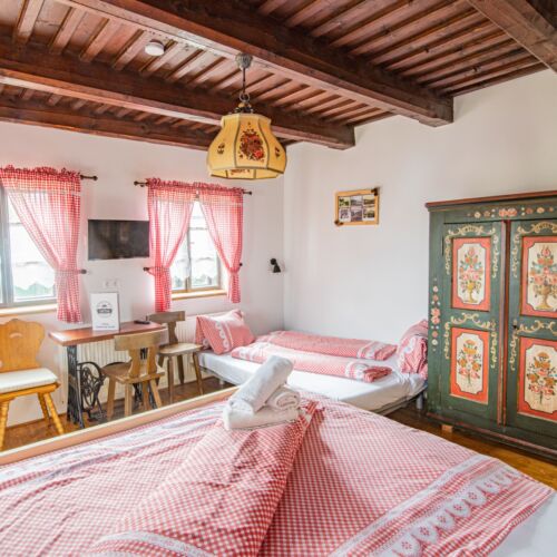 Camera cvadrupla cu duș cu vedere spre grădină