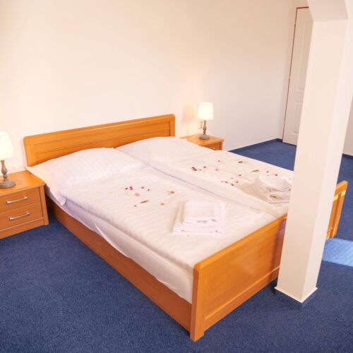 Pokoj se sprchou  s manželskou postelí