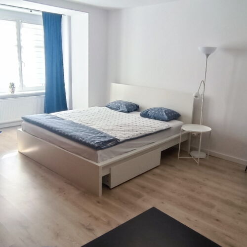 Apartament la demisol cu grup sanitar cu 1 camera pentru 3 pers.