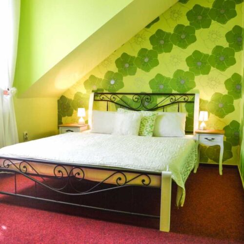 Pokoj se sprchou  pro 1 os.