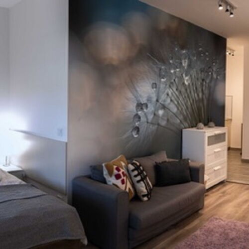 Apartament studio la parter cu 2 camere pentru 4 pers.