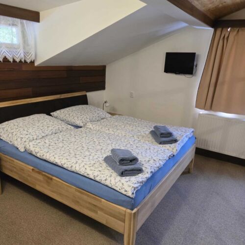 Pokoj se sprchou  s manželskou postelí