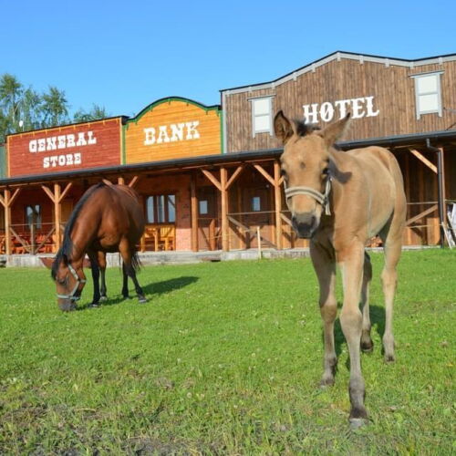Apartament cu duș cu bucătărie proprie pentru 4 pers.